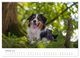 Thumbnail-11