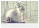 Thumbnail-12