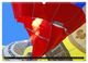 Thumbnail-12