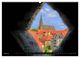Thumbnail-8