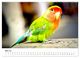 Thumbnail-7
