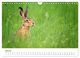 Thumbnail-9