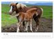 Thumbnail-10