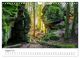 Thumbnail-11