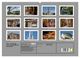 Thumbnail-4