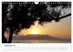 Thumbnail-14