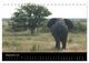 Thumbnail-11