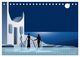 Thumbnail-11