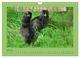 Thumbnail-12
