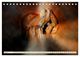 Thumbnail-9