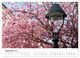 Thumbnail-14