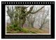 Thumbnail-14