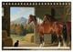 Thumbnail-11