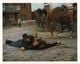 Thumbnail-11