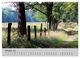 Thumbnail-12
