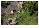 Thumbnail-11