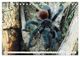 Thumbnail-13