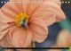 Thumbnail-11