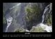 Thumbnail-11