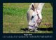 Thumbnail-12