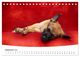 Thumbnail-11