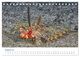 Thumbnail-13