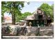 Thumbnail-12