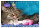 Thumbnail-9
