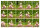 Thumbnail-12