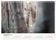 Thumbnail-12