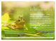 Thumbnail-9