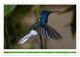 Thumbnail-11