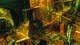 Thumbnail-2