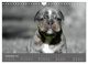 Thumbnail-14