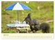 Thumbnail-11