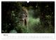 Thumbnail-10