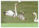Thumbnail-11