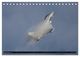 Thumbnail-14