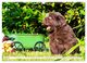 Thumbnail-12