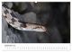 Thumbnail-13