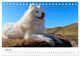 Thumbnail-9
