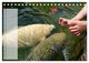 Thumbnail-10