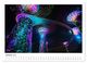 Thumbnail-11
