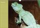 Thumbnail-11