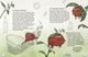 Thumbnail-4