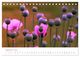 Thumbnail-11