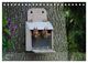 Thumbnail-9