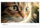 Thumbnail-12