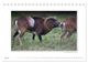 Thumbnail-12