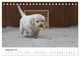 Thumbnail-14